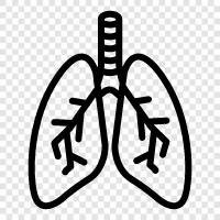 Breathing, Lung cancer, Bronchitis, COPD icon svg