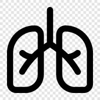 Breathing, Lung cancer, Lung infection, Lung function icon svg