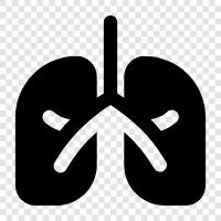 breathing, coughing, asthma, smoking icon svg