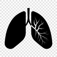 Breathing, Respiration, Lung diseases, Lung cancer icon svg