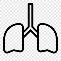 Breathing, Pulmonary, Respiration, Pulmonary Disease icon svg