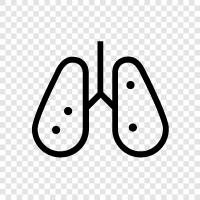 breathing, lungs, air, oxygen icon svg