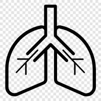 breathing, lungs, air, oxygen icon svg