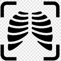 breathing, lungs, Bronchitis, asthma icon svg