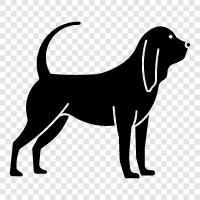 breed of dog, canine, hunting, tracking icon svg