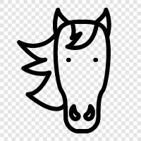 breeding, horsemanship, horse racing, horse care icon svg