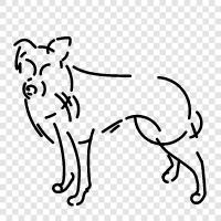 breeds, breeds of dogs, dogs for adoption, dog breeds for sale icon svg