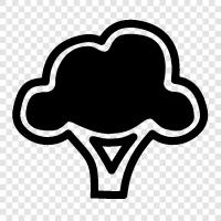 broccoli icon svg