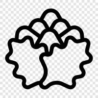 broccoli romanesco, broccoli DeBart, Romanesco broccoli icon svg