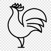 broilers, frying, frying pan, chicken broth icon svg