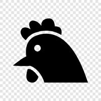 broilers, cooking, diet, eggs icon svg