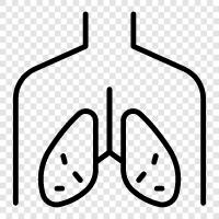bronchitis, pneumonia, croup, lungs infection icon svg