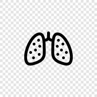 Bronchitis, Cough, Chest congestion, Pneumonia icon svg