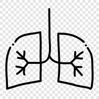 Bronchitis, COPD, Asthma, Emphysema icon svg