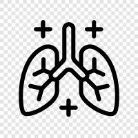 bronchitis, COPD, asthma, smoking icon svg