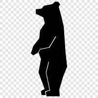 brown bear, grizzly bear, black bear, polar bear icon svg