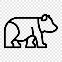 brown bear, grizzly bear, Ursus arctos horribil, Bear icon svg