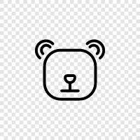 brown bear, grizzly bear, black bear, polar bear icon svg