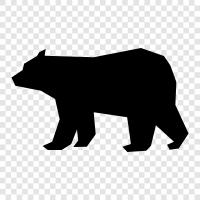 brown bear, grizzly bear, black bear, Kodiak bear icon svg