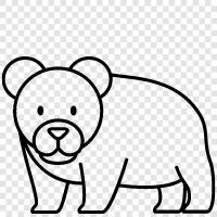 Brown Bear, Grizzly Bear, Polar Bear, Bear icon svg