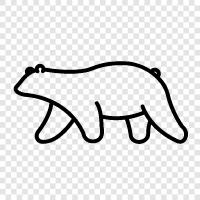 brown bear, grizzly bear, Ursus arctos horribil, Bear icon svg