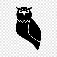 brown owl, hunting owl, barn owl, great horned owl icon svg