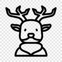 buck, antler, animal, hunting icon svg