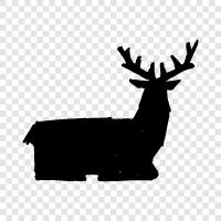 bucks, hunting, animals, animal husbandry icon svg