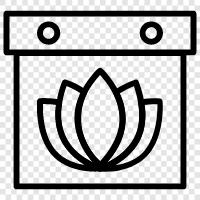 Buddha, spiritual, enlightenment, forgiveness icon svg