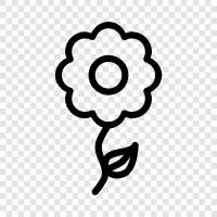 buds, blossom, petals, beauty icon svg