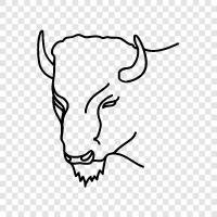 buffalo, beef, meat, beefalo icon svg