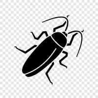 bug, insects, pests, dirt icon svg