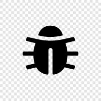 bug, flying, car, animal icon svg