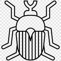 bug, fly, beetle, cricket icon svg