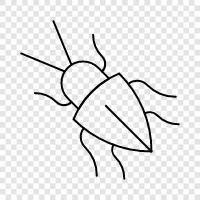 bug, bugs, insect, creatures icon svg