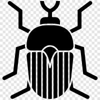 bug, fly, beetle, cricket icon svg