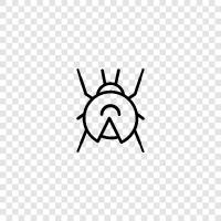 bug, fly, beetle, caterpillar icon svg