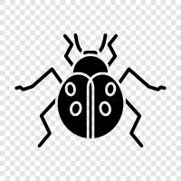 Bug, Ant, Bee, Fly icon svg
