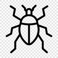 bug, fly, wasp, beetle icon svg