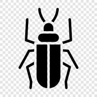 Bug, Ant, Bee, Flour beetle icon svg