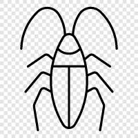 bug, roach, insect, crawling ikon svg