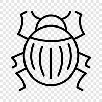 bug, insects, arthropods, carpenter icon svg