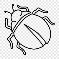 böcek, creepy crawlies, Beetle ikon svg