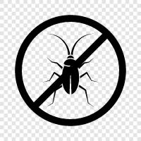 bug, insect, roach, crawling icon svg