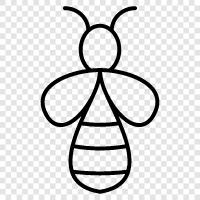 bug, fly, beetle, moth icon svg