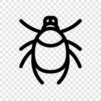 bug, bug removal, bug control, ants icon svg