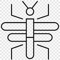 bug, insects, buggy, insect catcher icon svg