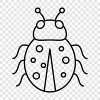 bug report, software bug, software defects, software errors icon svg