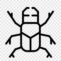 bug, car, cute, funny icon svg