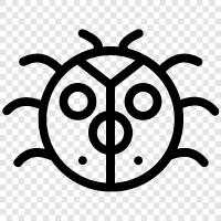 bug, creepy crawlies, flying insects, bug zapper icon svg